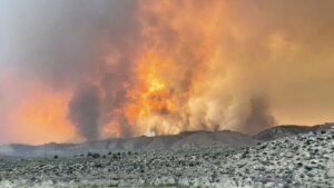 Record Breaking Heatwave Sweeps Across the Western United States