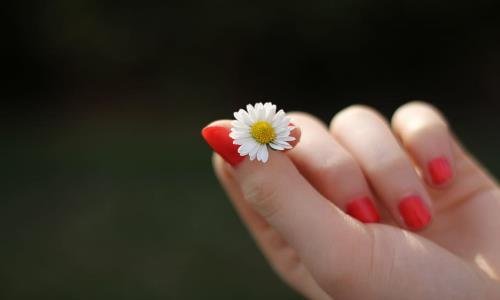 Daisy Nails