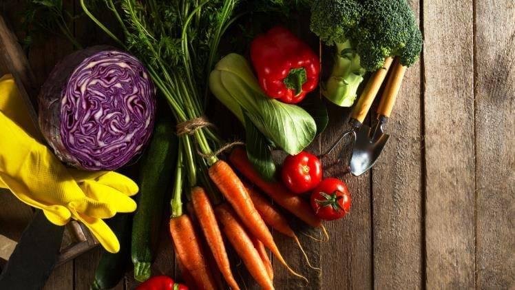 Sinful Nutrition Where Every Vegetable Has a Dark Side Sinful Nutrition Where Every Vegetable Has a Dark Side